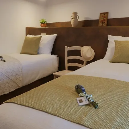 Apartmaji In Sobe Odlicna Hisa Štanjel Extérieur photo